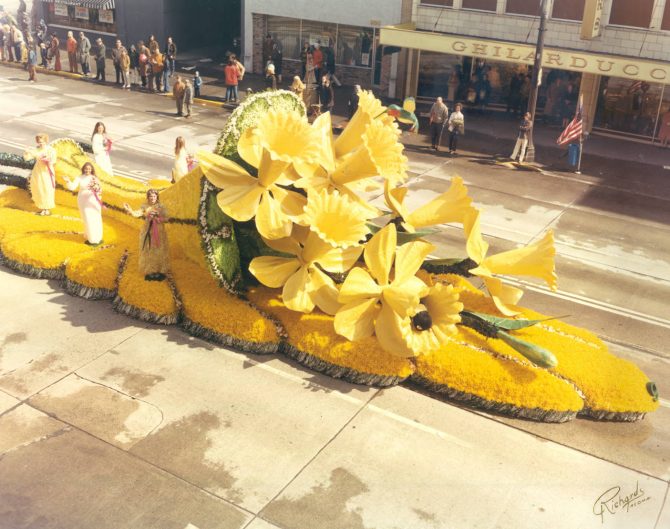 Ah, the Glory of Daffodils! Public Library